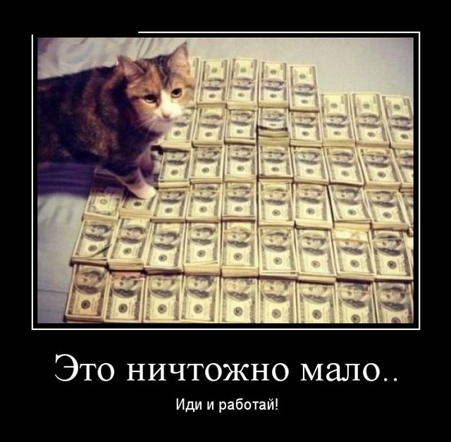 Демотиваторы