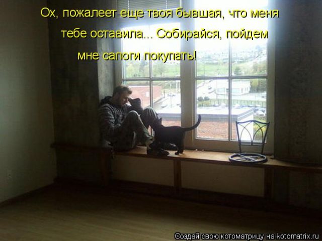 Лучшие котоматрицы недели