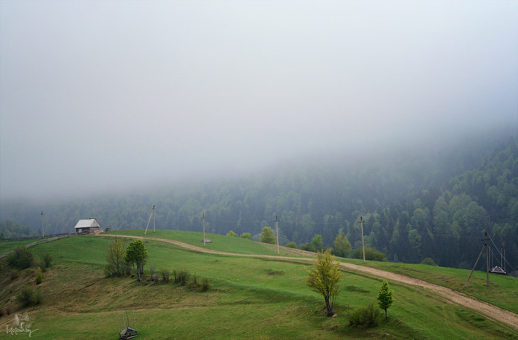 Весна на Карпатах Весна на Карпатах