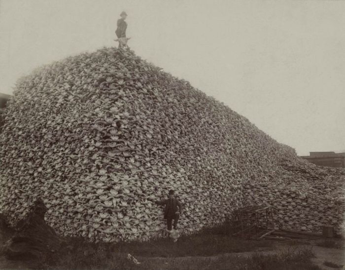История в фотографиях История в фотографиях