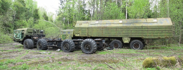 Неожиданная находка в лесу Неожиданная находка в лесу
