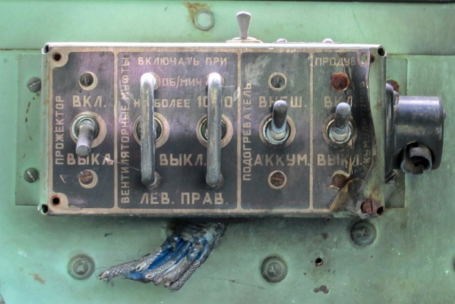 Неожиданная находка в лесу Неожиданная находка в лесу