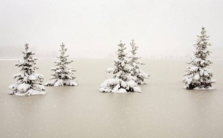 День Земли (20 фото)