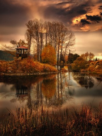 Работы фотографа Albena Markova