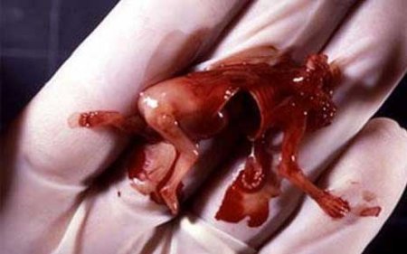 Что мы знаем о нашей стране...? (18 фото)