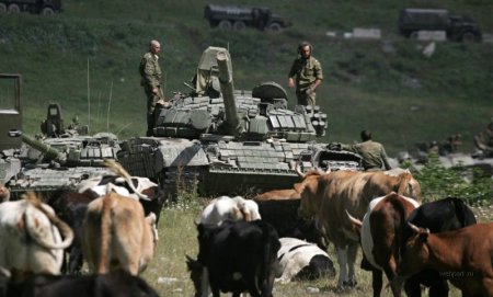 Год назад