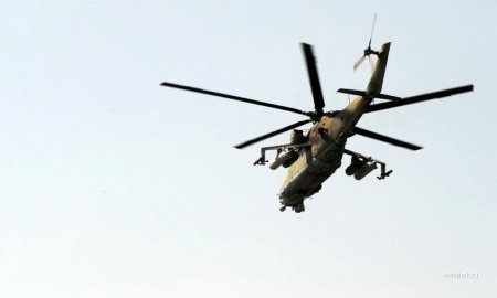 Год назад