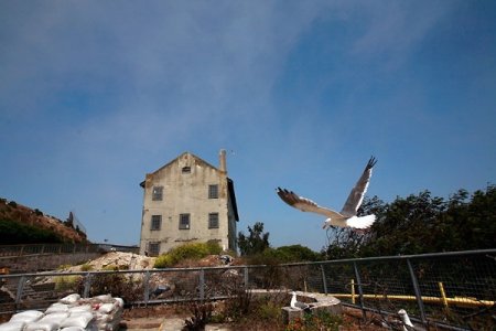 Знаменитой тюрьме Алькатрас (Alcatraz) 75 лет