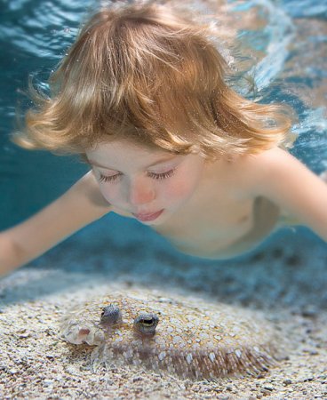 Художества от Zena Holloway`a