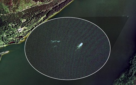 Лох-Несское чудовище вернулось (4 фото)
