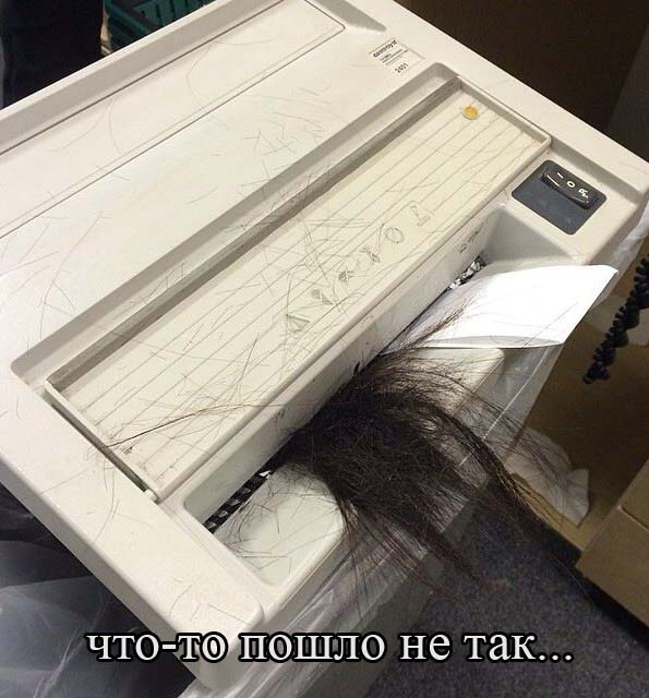 Прикольные картинки (74 фото)