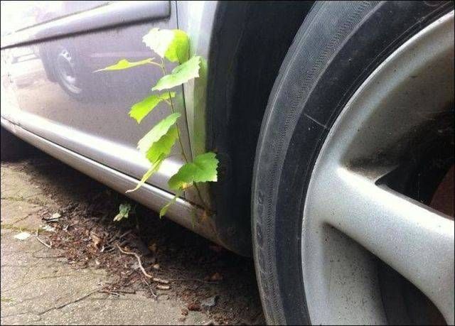 Автомобильный юмор