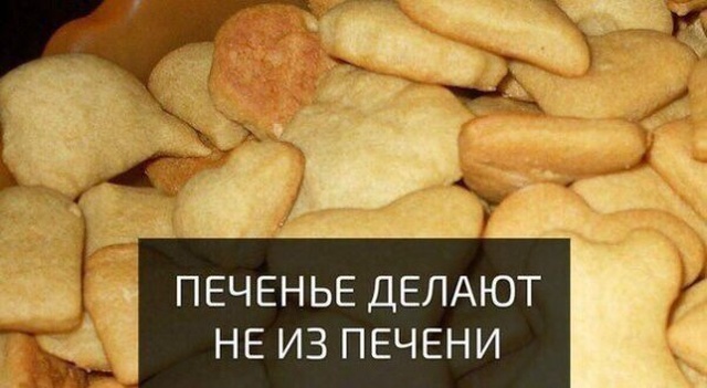 Нестандартный юмор и забавные картинки из соцсетей