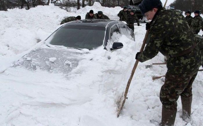 Прикольные картинки