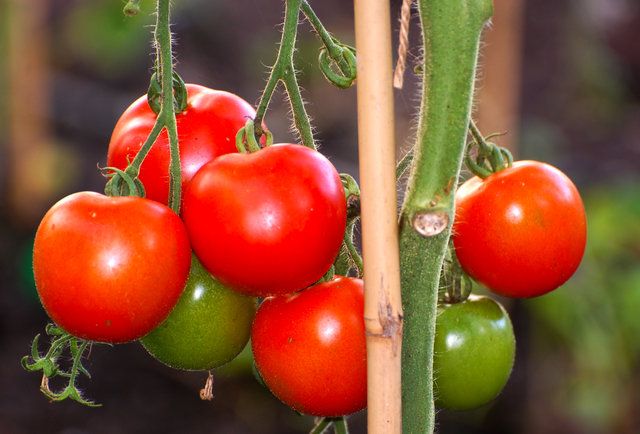 Смертельные продукты Смертельные продукты