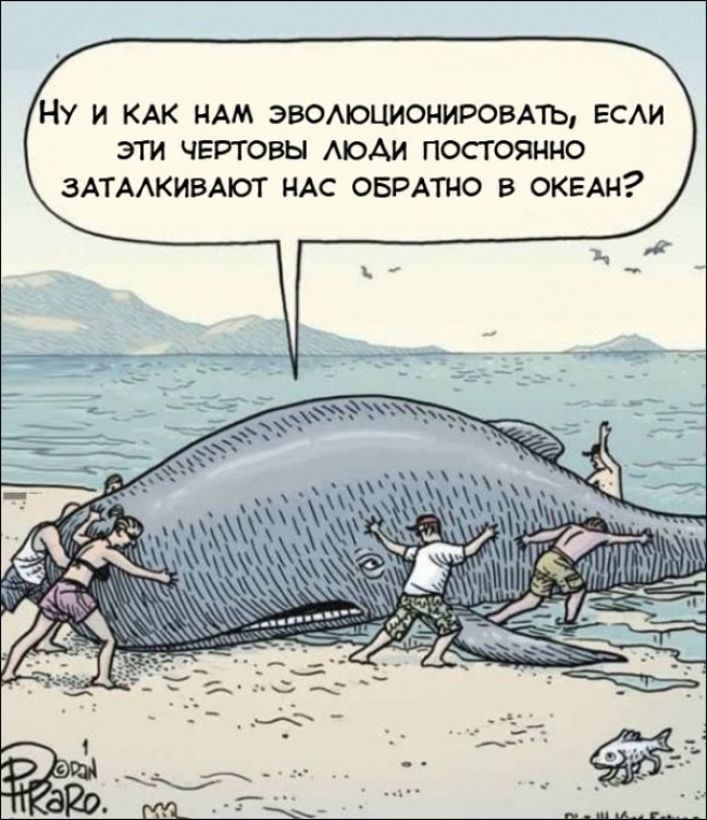 О чем шутили ученые в 2015 году О чем шутили ученые в 2015 году