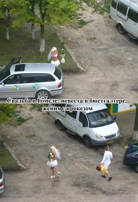 Забавные картинки