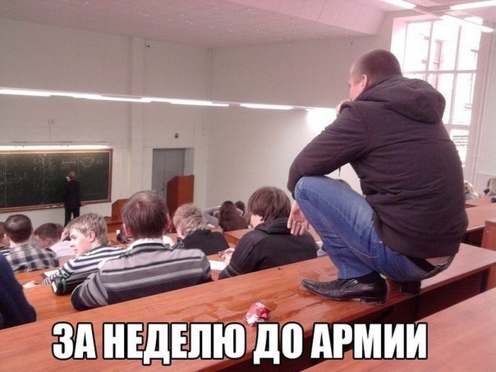 Забавные картинки