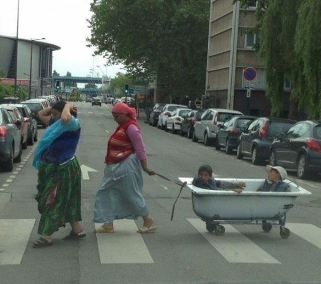 Забавные картинки