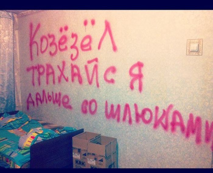 Забавные картинки