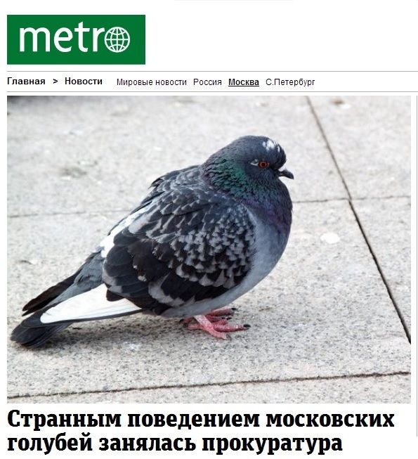 Забавные картинки