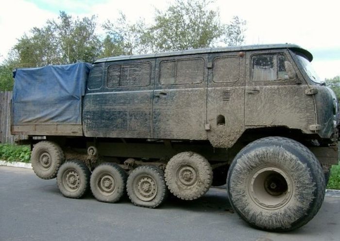 Забавные картинки