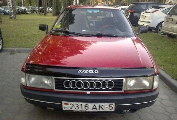 Забавные картинки