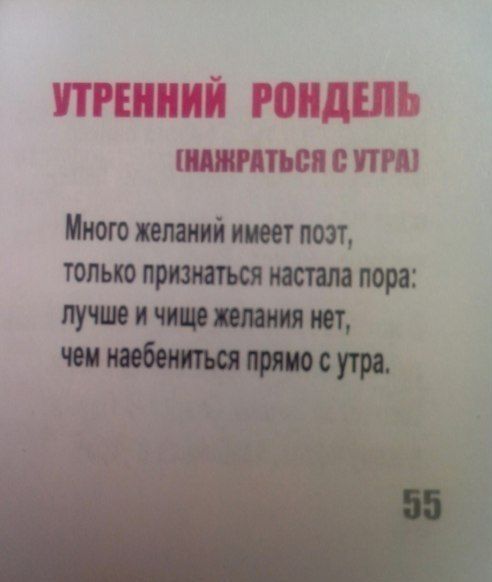 Забавные картинки