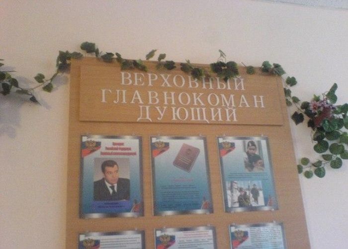 Забавные картинки