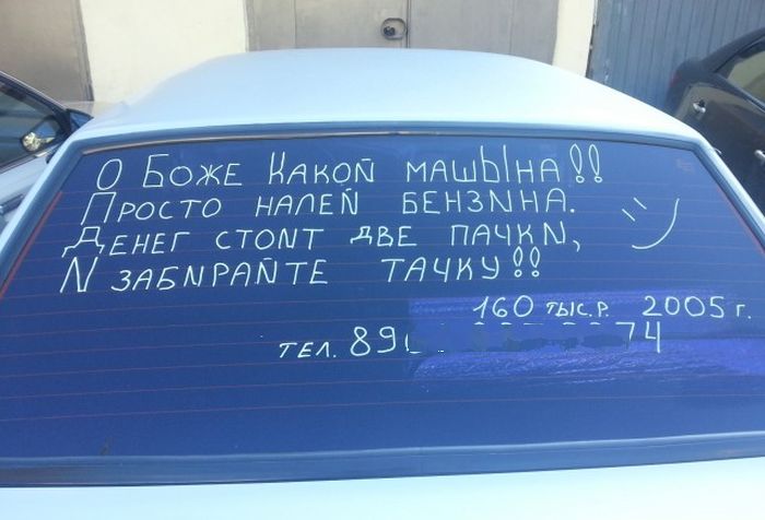 Забавные картинки