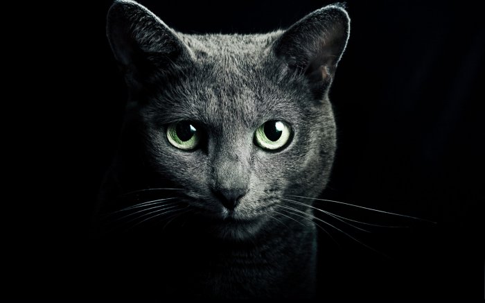 Обои на рабочий стол /Сomp Wallpapers 105