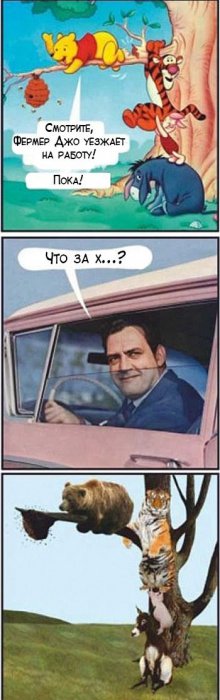 Забавные картинки