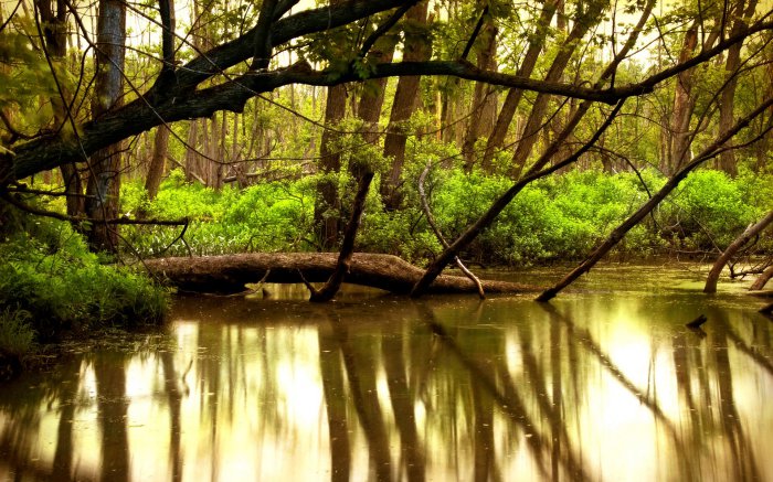 Обои на рабочий стол /Landscapes Wallpapers Collection 