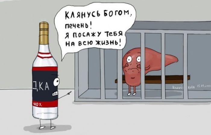 Забавные картинки