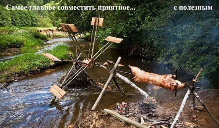 Забавные картинки