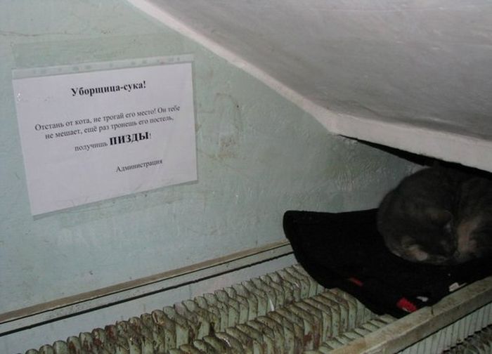 Забавные картинки