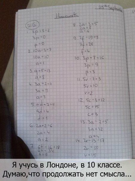 Забавные картинки