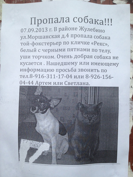 Забавные картинки