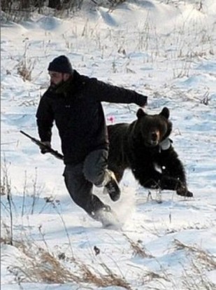 Случай в лесу
