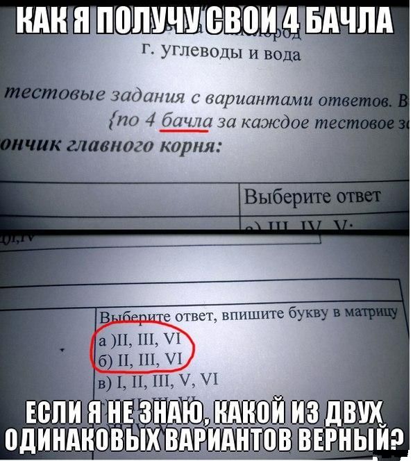 Забавные картинки