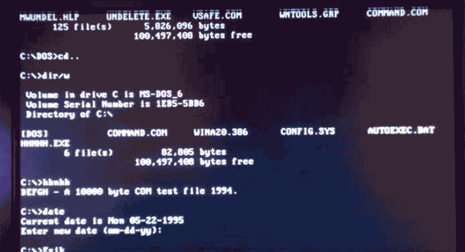 Компьютерные вирусы эпохи MS-DOS (в гифках) Компьютерные вирусы эпохи MS-DOS (в гифках)