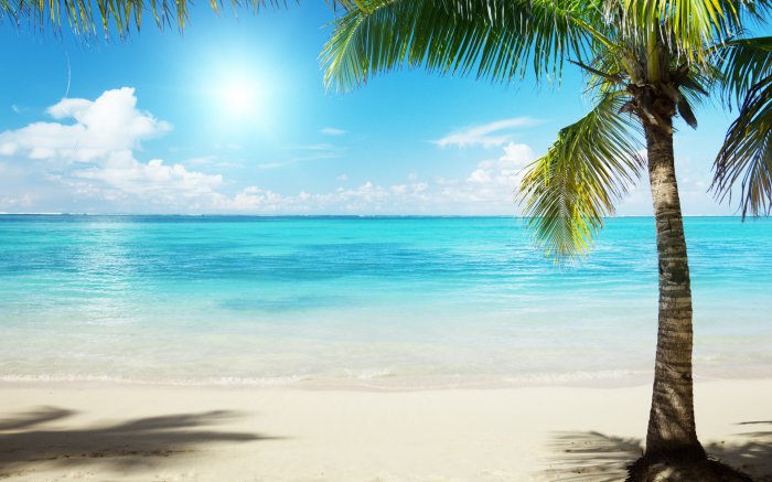 Обои на рабочий стол /Best HD Wallpapers Pack 1037