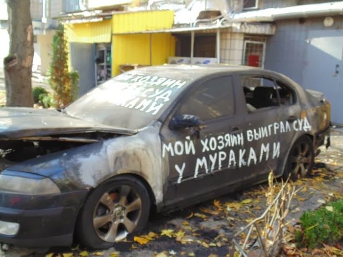 Забавные картинки