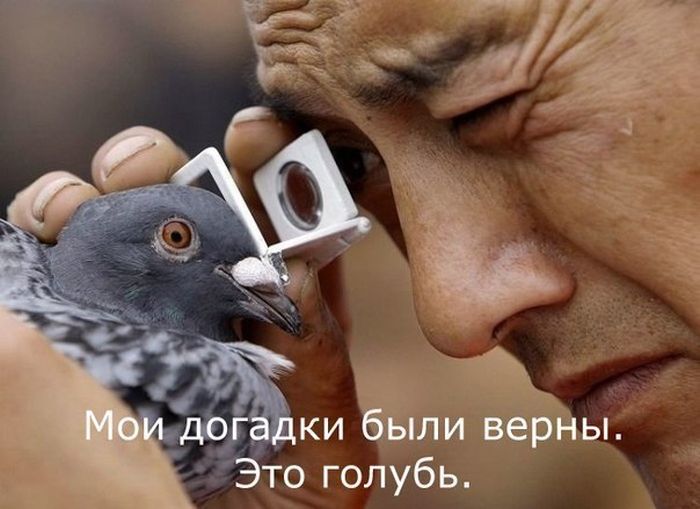 Забавные картинки