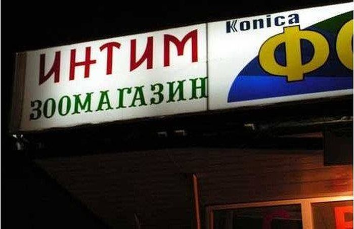 Забавные картинки