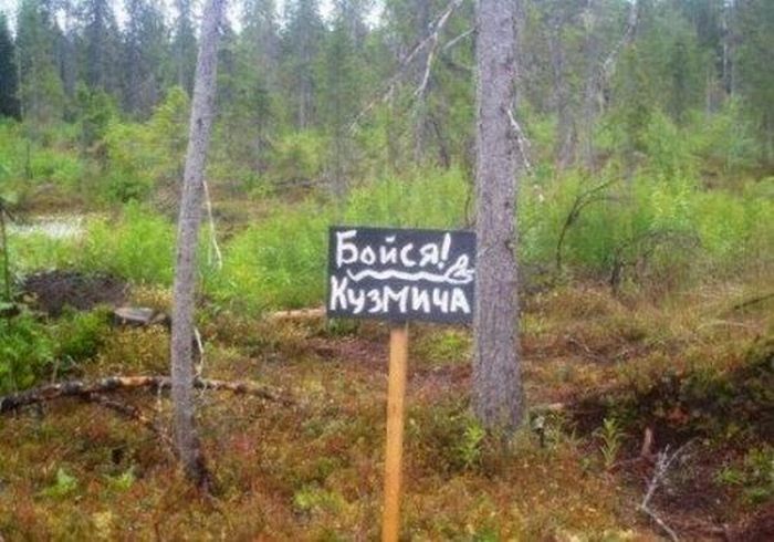 Забавные картинки