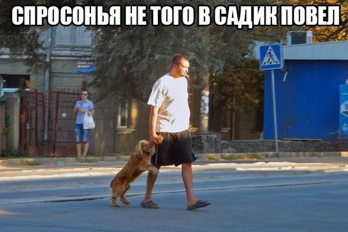 Забавные картинки