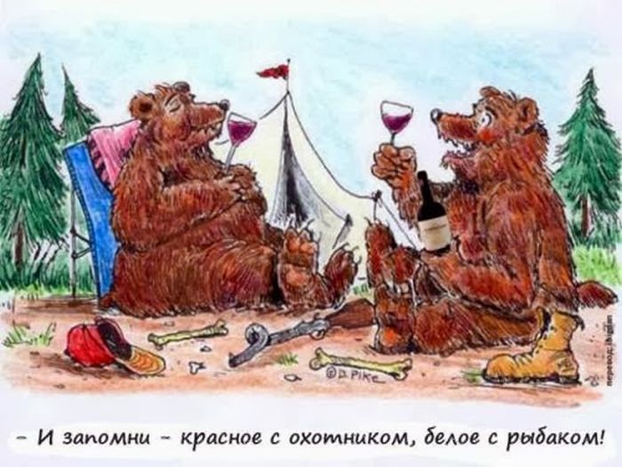 Забавные картинки