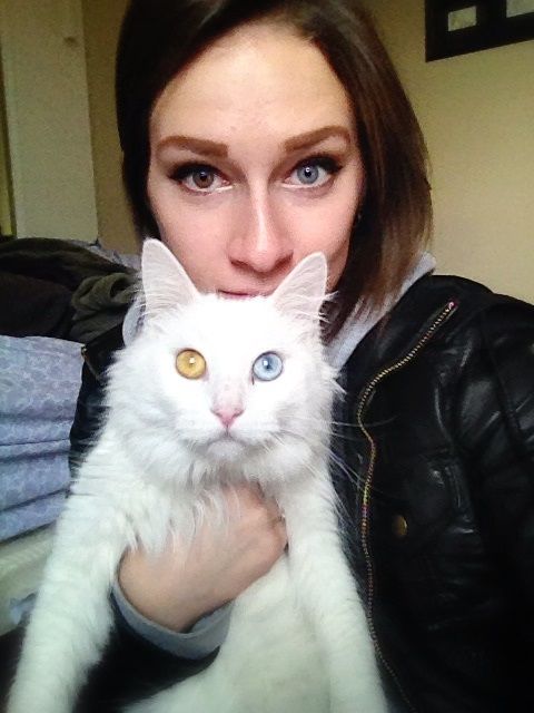 Забавные картинки