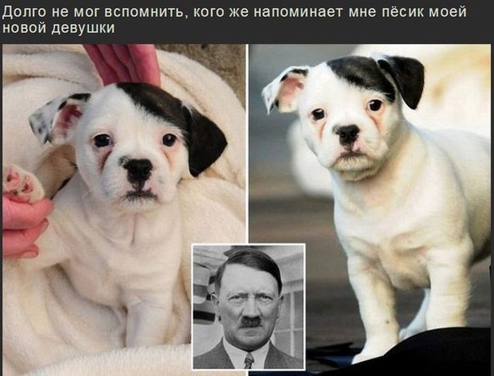 Забавные картинки